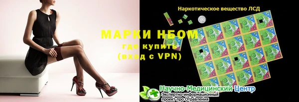 гидра Арсеньев