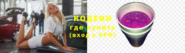 гидра Арсеньев