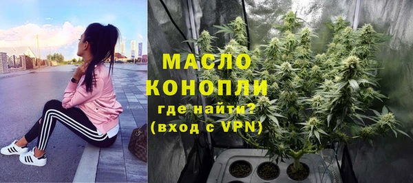 гидра Арсеньев