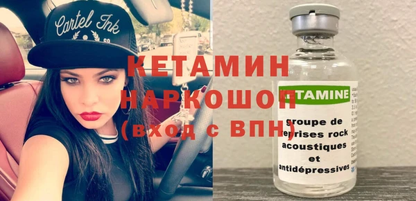 гидра Елизово