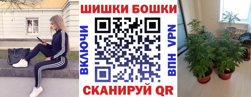 Бошки марихуана SATIVA & INDICA  маркетплейс официальный сайт  Орлов 